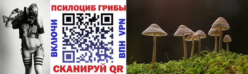 Псилоцибиновые грибы Psilocybine cubensis  Семилуки 